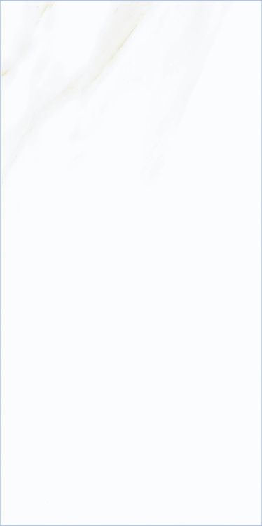 Time Cielo Matte 12 x 24